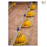 معلف Roxel الطبقي الأوتوماتيكي